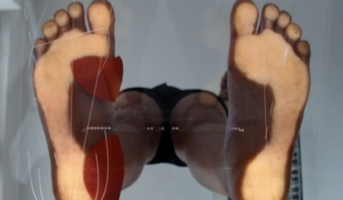 I RECETTORI POSTURALI